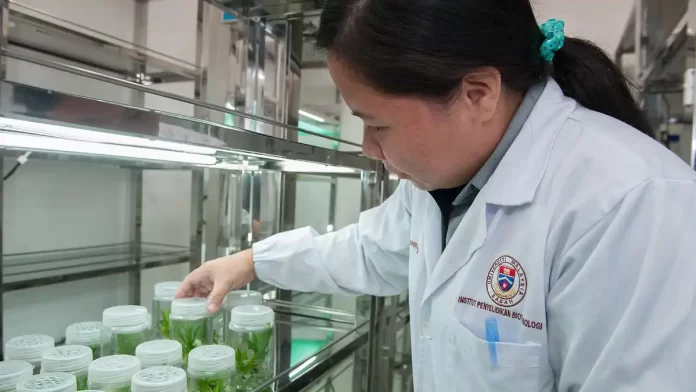 Tissue Culture